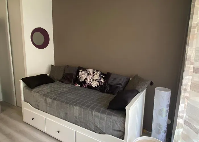 La Baleine Rose Centre Cap D'agde Agde