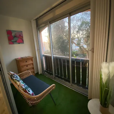 La Baleine Rose Centre Cap D'agde Apartment