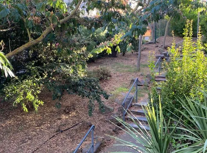 La Baleine Rose Centre Cap D'agde